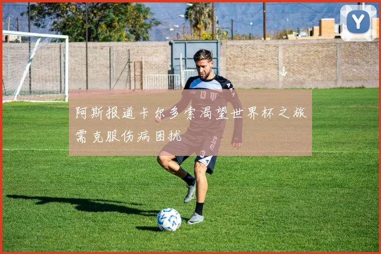 阿斯报道卡尔多索渴望世界杯之旅需克服伤病困扰
