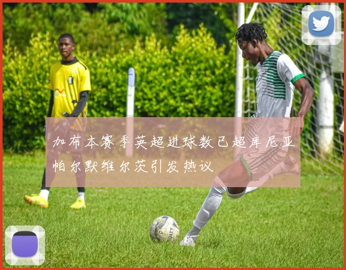 加布本赛季英超进球数已超库尼亚帕尔默维尔茨引发热议