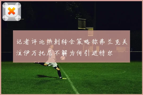 记者评论热刺转会策略称弗兰克关注伊万托尼不解为何引进特尔
