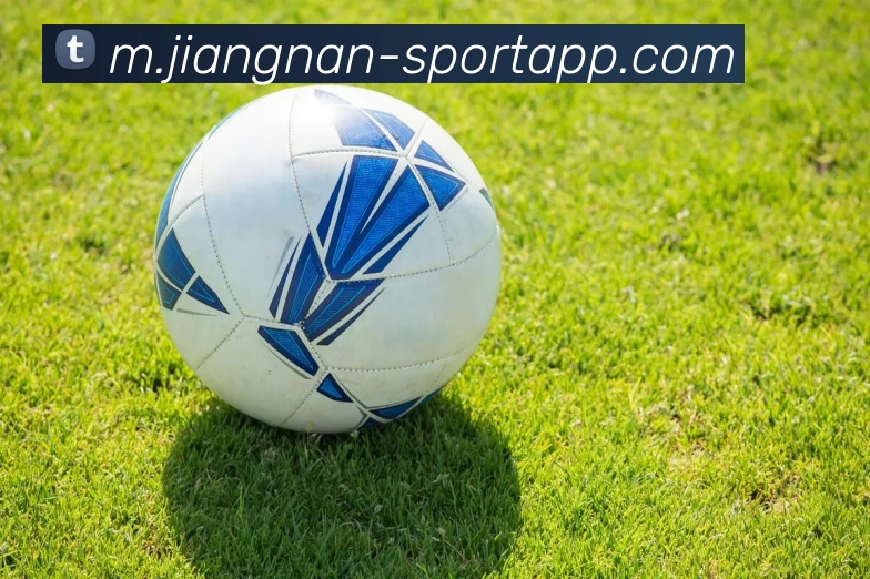 江南体育平台生态图